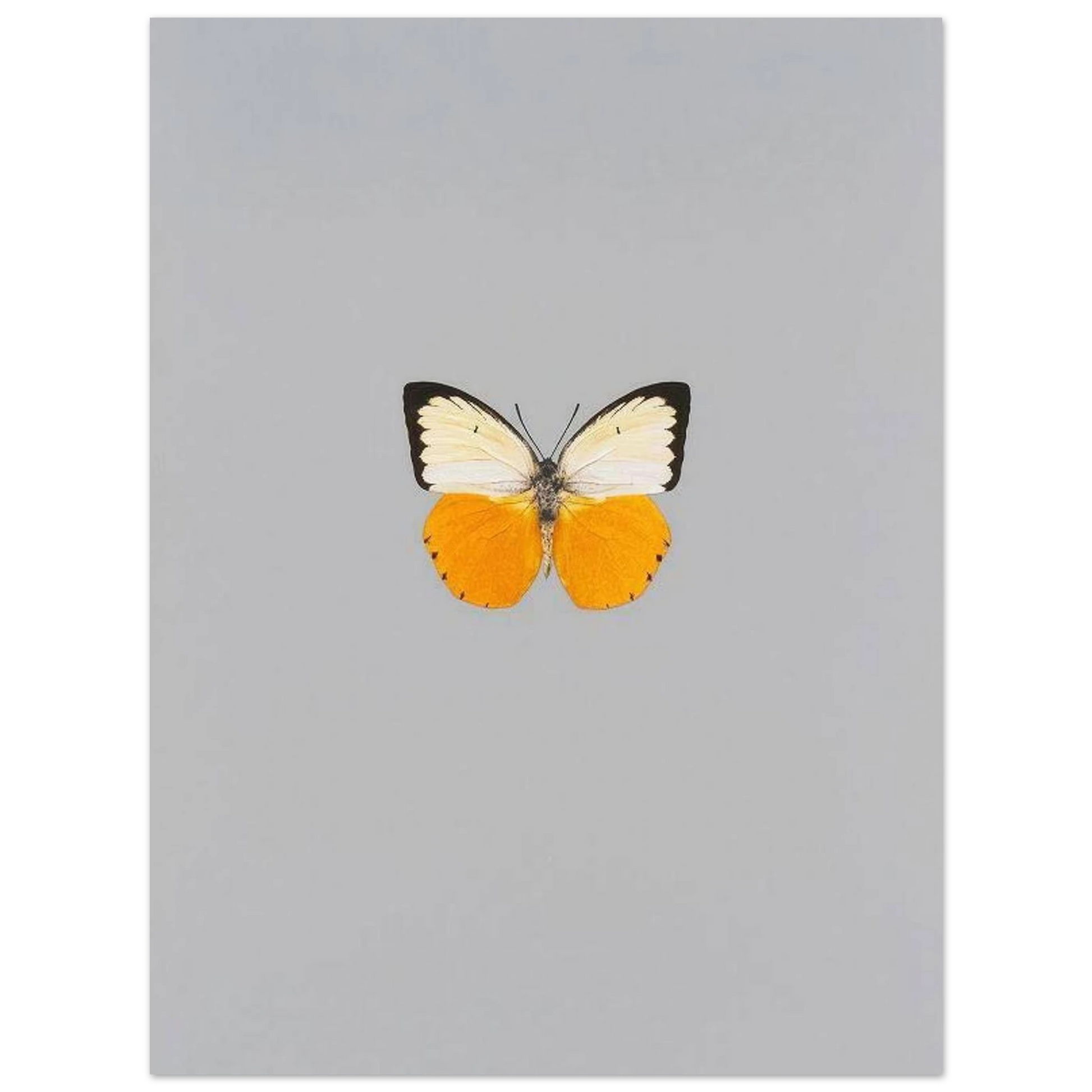 cad16b00-499d-40fb-a690-8e33665d849f