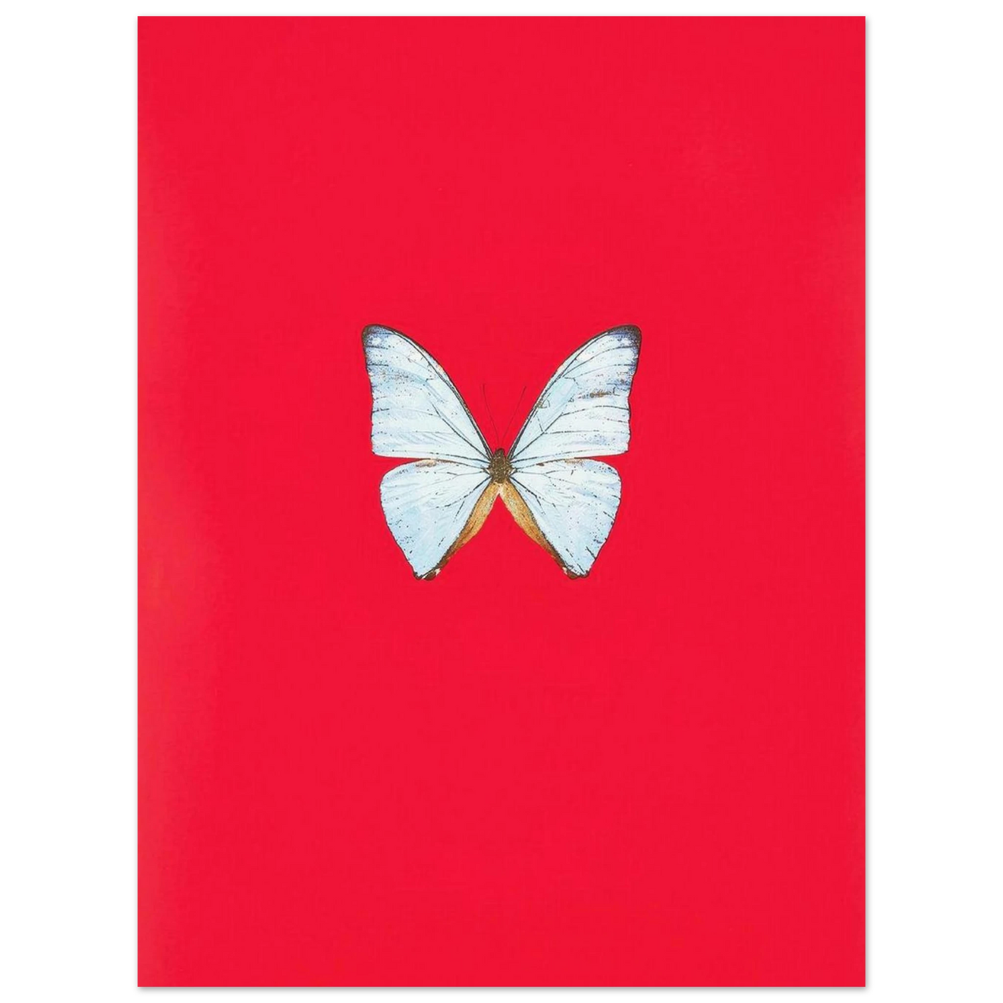 cc4d17d3-1ef4-4369-a92b-2e3bfa15c6f7