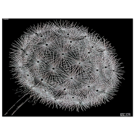 ce3e8422-b10e-4e54-8e01-e5bea0c63058
