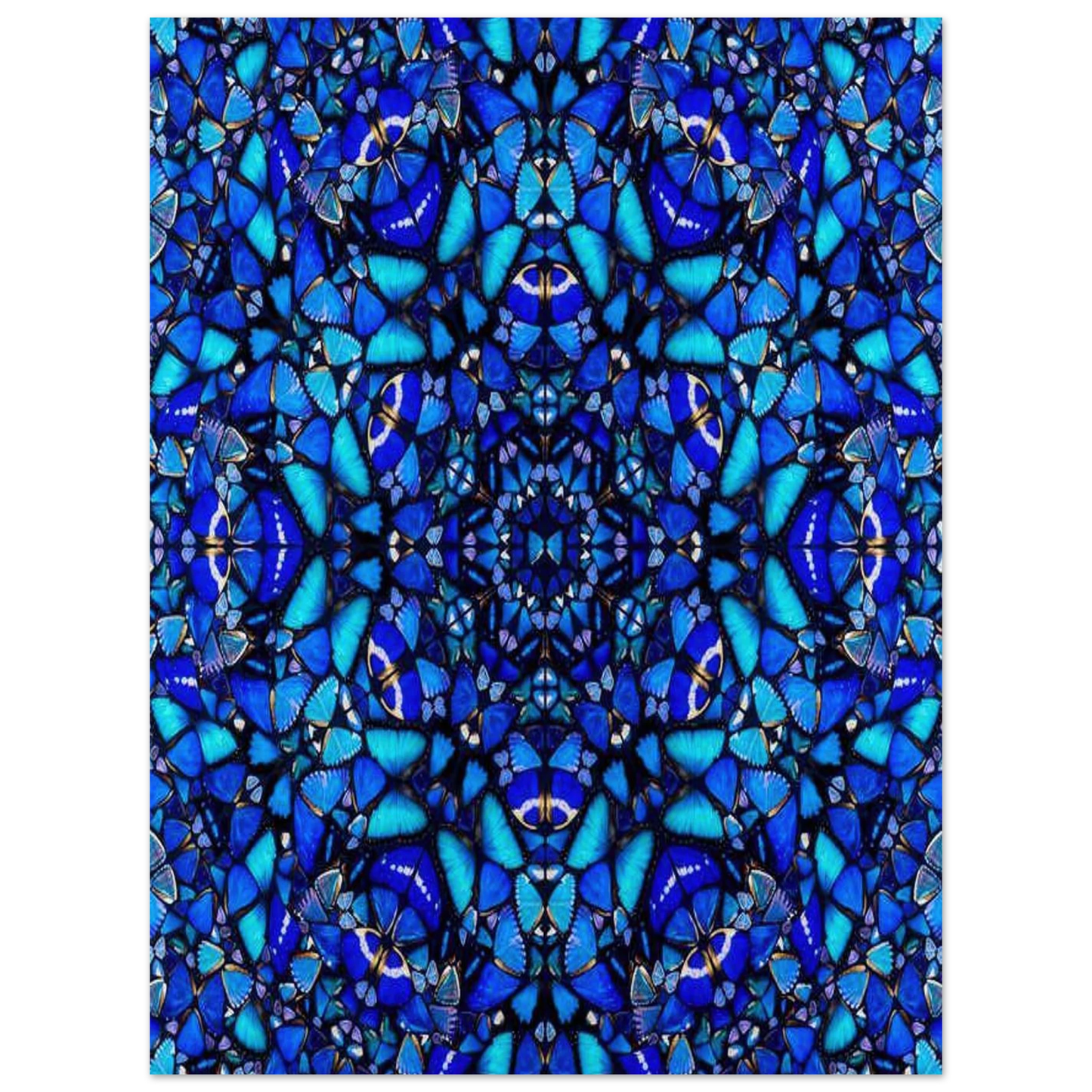 d6c4f5eb-0b4b-4178-9a34-d6f838232849