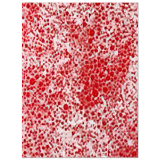 d6fd5a2b-78c1-46d2-81b4-dab1a24a8564