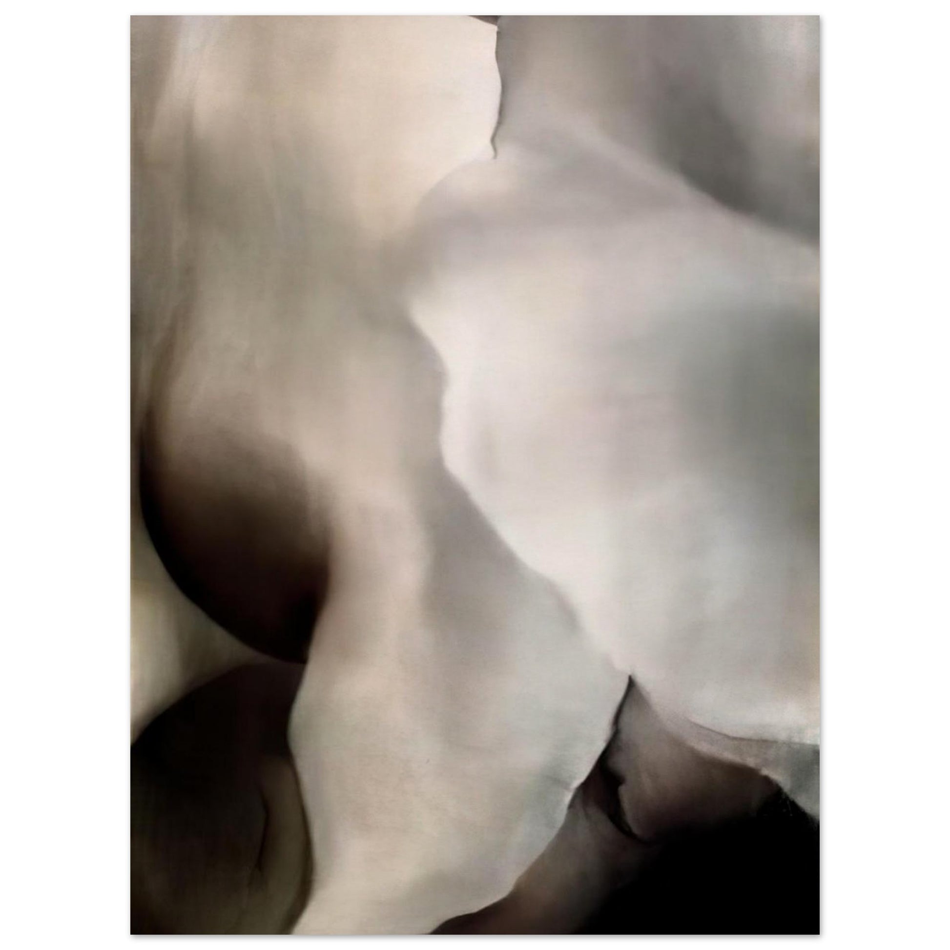 df018469-048a-4b17-b365-49b0b8691ba5