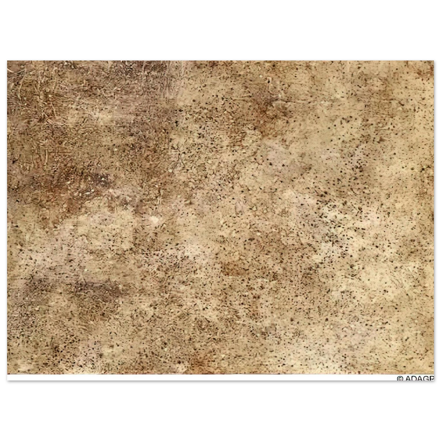 dff24435-34c7-419f-b799-6ea049051b85
