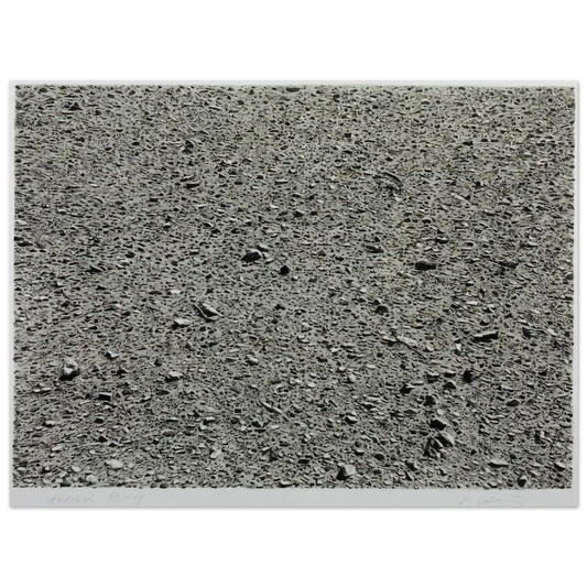 e9c0c84b-400a-4687-bb9d-715e827b1e00