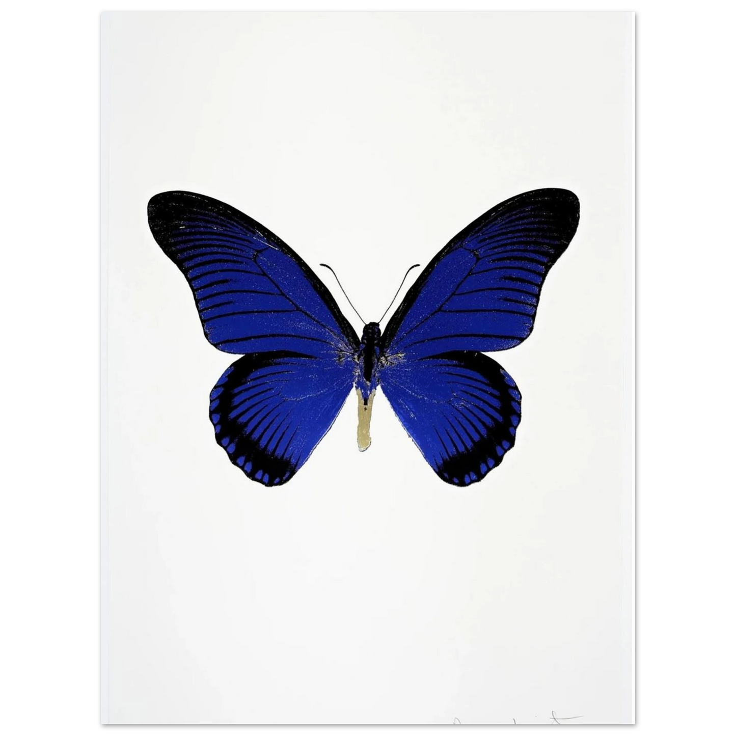 ed689c4d-7070-46ba-90bd-5db7e0a0a507