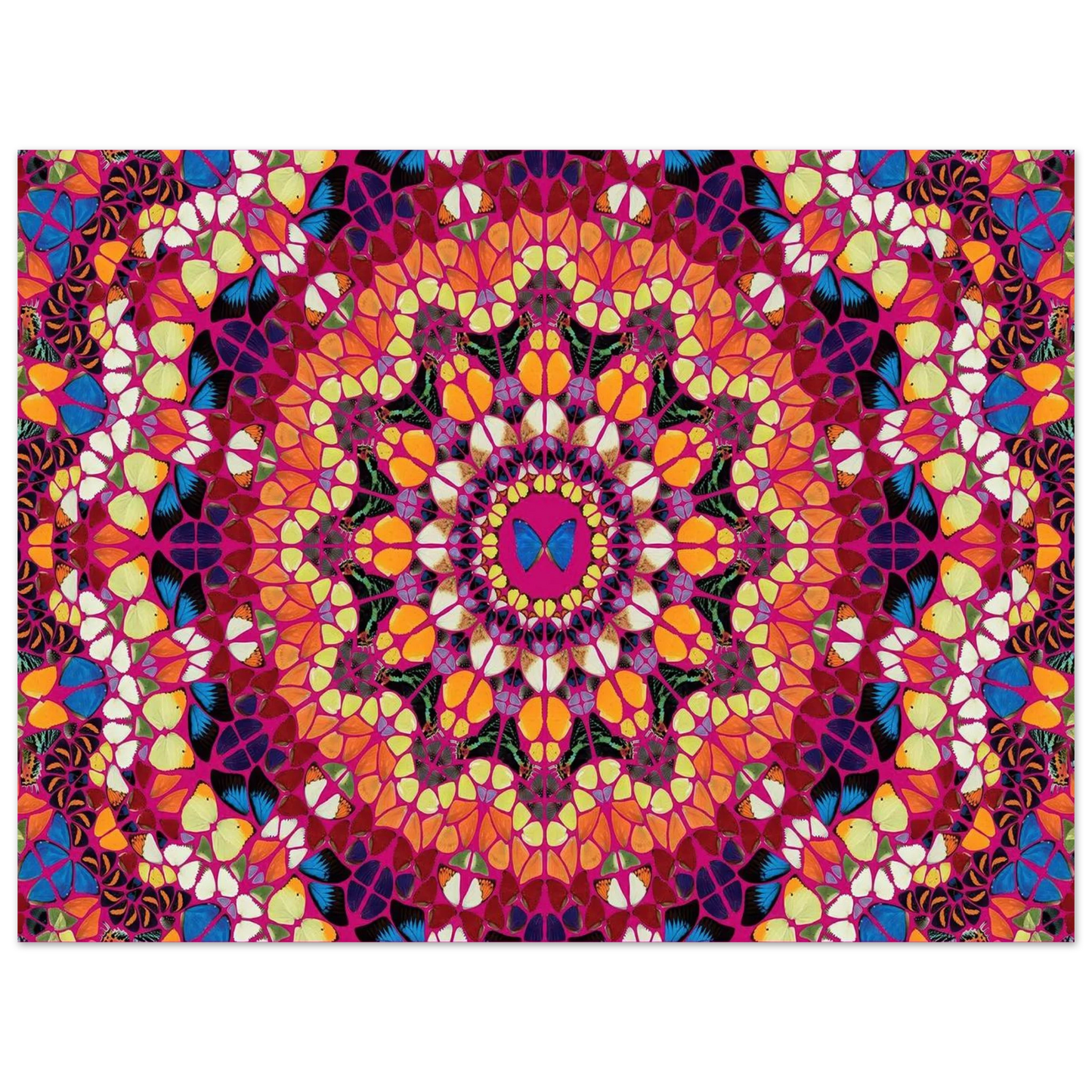f73eb560-8f26-470b-9af4-56d65216909b